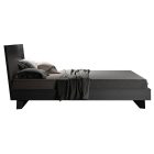 Lorem ipsum dolor sit